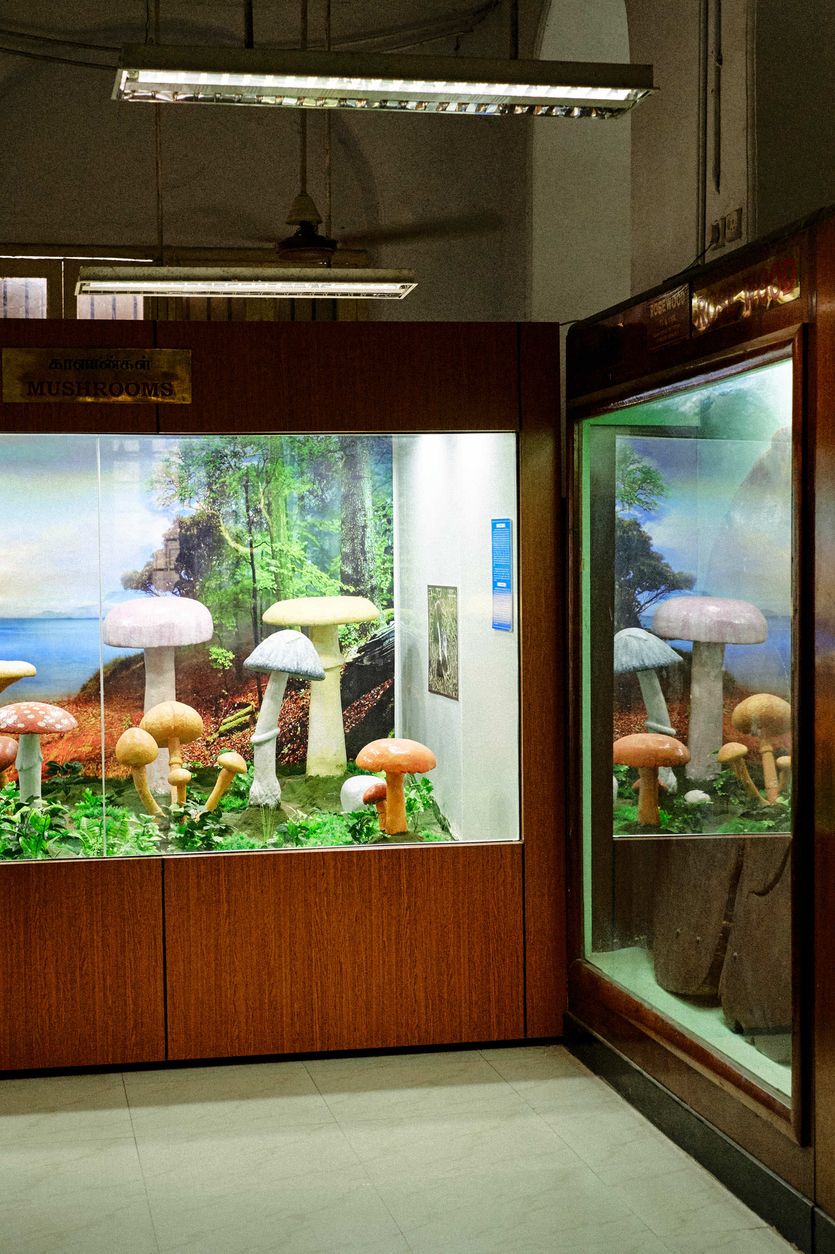 Government Art Museum Chennai